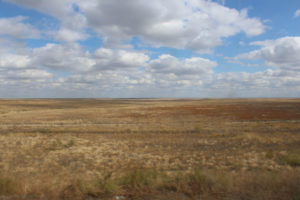 カザフスタン　草原　ステップ